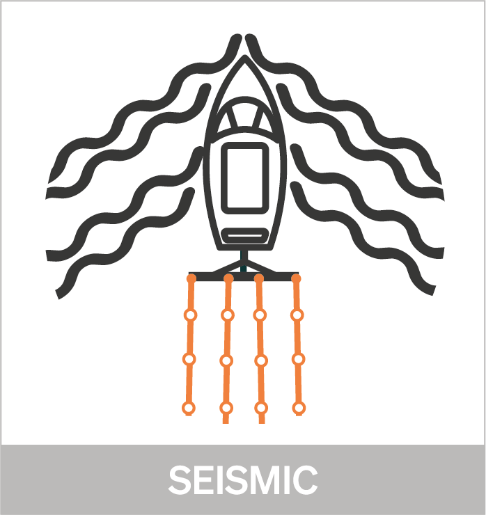 Seismic